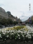 Фото достопримечательностей Праги: Вацлавская площадь