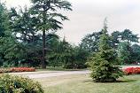 Самостоятельно по Англии – фото из королевского ботанического сада