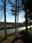 Природа Финляндии фото: поездка в Виролахти