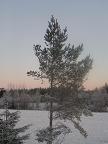 Картинки зима в Финляндии – финские снимки