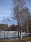 Фотографии, сделанные в Финляндии: финские озёра виды