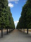 Сен-Жерменский парк: фотографии из Франции