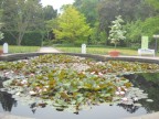 Ботанический сад Франкфурта на фото: красивые картинки из Германии