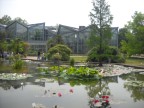 Вид на ботанический сад Франкфурта: фото из путешествия во Франкфурт