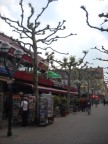 Снимки из самостоятельной поездки в Ханау: фотки из центра города