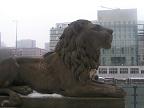 Фотографии, сделанные в Берлине: скультура льва