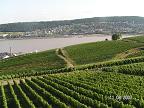 Картинки из Германии: рейнские виноградники
