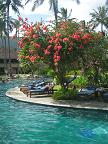 Гостиница "Lombok Holiday Resort" - фото тихого отдыха на Ломбоке