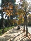 Парк Ретиро осенью: фото из самостоятельной поездки в Мадрид