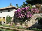 Самостоятельно по Испании – фото садов Альгамбры